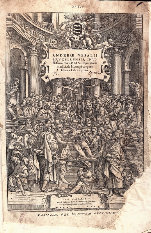 Andreae Vesalii Bruxellensis ..., De humani corporis fabrica : Libri septem
